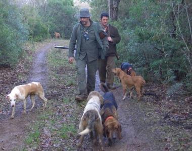 Cacciatori insieme ai loro fedeli cani     