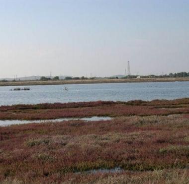 Pannelli fotovoltaici e sopra uno scorcio della zona delloasi Wwf di Orti Bottagone 