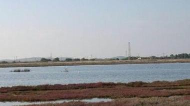 Pannelli fotovoltaici e sopra uno scorcio della zona dell’oasi Wwf di Orti Bottagone