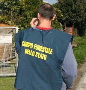 Il Corpo forestale dello Stato si &egrave; occupato delle ricerche 