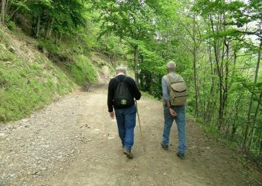 Trekking nei boschi 