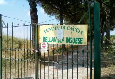 Lingresso della tenuta di caccia In Suese 