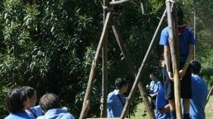 Un campo scout
