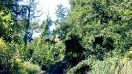 Il fosso Fiumetto mentre attraversa Roma Imperiale