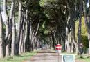 San Rossore