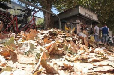 Le foglie che invadono la piazza XX Settembre  