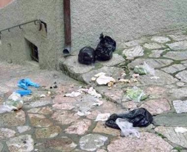 I rifiuti della raccolta porta a porta sparpagliati in mezzo alla strada 