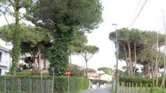 Una delle strade interne del Cinquale