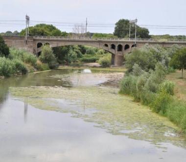 Due immagini del fiume Cecina ricoperto di alghe   