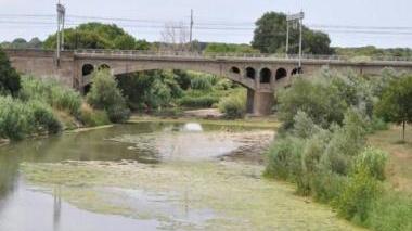 Due immagini del fiume Cecina ricoperto di alghe