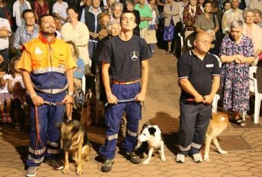 Misericordia, benedizione dei cani
