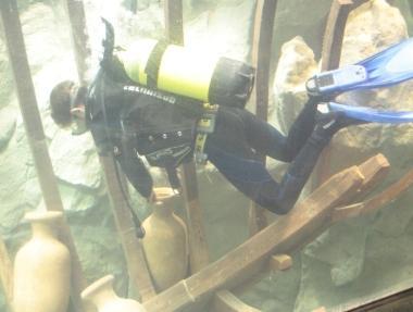 Acquario, i primi vincitori dei biglietti