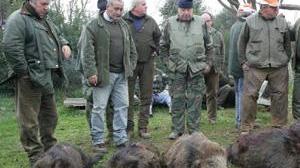 Da lunedì caccia a caprioli e daini più di 4 mesi per sparare ai cinghiali