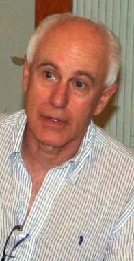 Raugei 