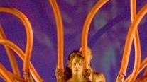 <b>MOMIX</b> I danzatori acrobati più famosi del mondo E’ la 15ª volta che il gruppo sceglie la Versiliana