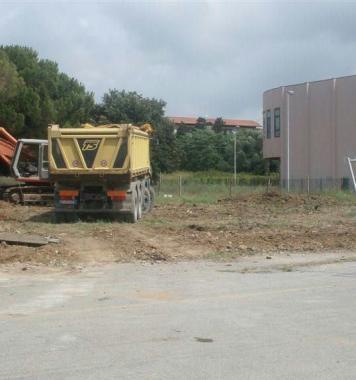 <b>POLEMICA.</b> Tagliati gli alberi alla scuola media i cittadini contro il Comune 