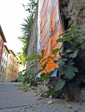 <b>GUERRA AI PICCIONI.</b> Troppo sporco in citt&agrave; 