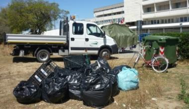 Torna pulita la pineta a Tirrenia