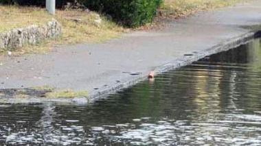 Strade allagate in città