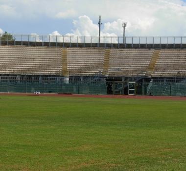 Lerba dello stadio Armando Picchi 