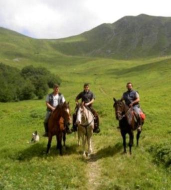 Il parco dellAppennino 