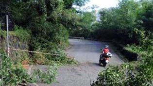 Un albero caduto lungo a via Foce