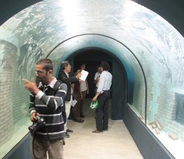 Il percorso dentro lacquario, un tunnel si snoda tra le vasche 