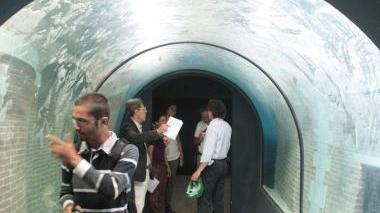 Il percorso dentro l’acquario, un tunnel si snoda tra le vasche