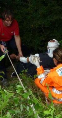 I soccorsi al dottor Susini