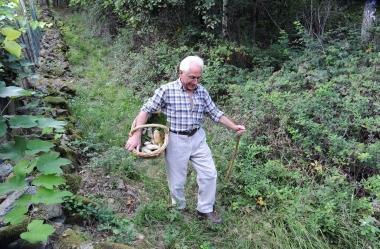 Armato di cesto un cercatore di funghi in giro per i boschi 