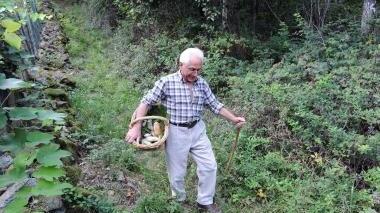Armato di cesto un cercatore di funghi in giro per i boschi