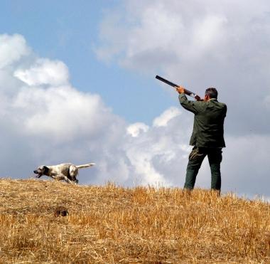 Un cacciatore in azione con il suo cane     