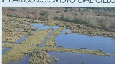 La natura vista dal cielo