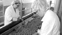 L'azienda soddisfatta ma attacca il Comune