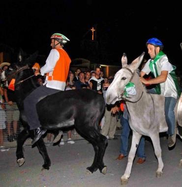 Stasera il palio dei ciuchi 