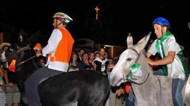 Stasera il palio dei ciuchi