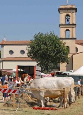 Sta per iniziare il Settembre Nella foto una delle precedenti edizioni della fiera del bestiame