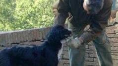 Un cercatore di tartufi con il suo cane