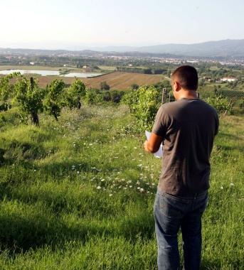 Agricoltura da censire Si cercano rilevatori