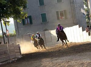 Palio di Castel del Piano Ecco tutti i cavalli iscritti