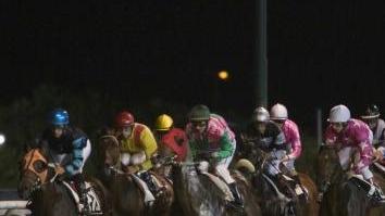 <b>IN PISTA.</b> I cavalli sulla dirittura del Caprilli