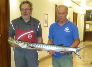 Barracuda da record catturato di notte davanti al Molo Novo