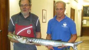 Barracuda da record catturato di notte davanti al Molo Novo