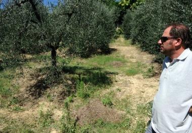 Il figlio di Meazzini indica il luogo dellincidente agricolo 