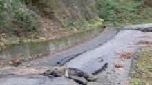 Una frana lungo una strada nella Valle del Serchio