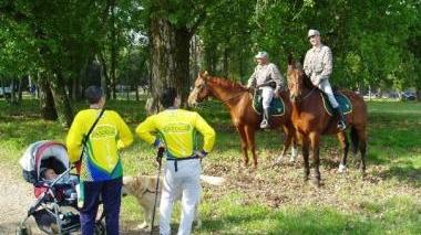 Passeggiate e cultura nel Parco
