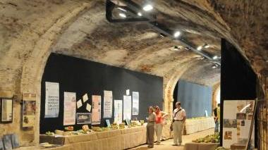 La mostra nei sotterranei delle Mura (Vip)