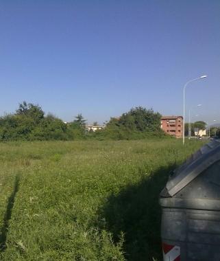 Il terreno abbandonato 