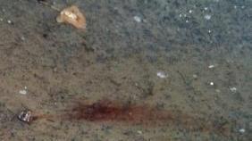 <b>SANGUE.</b> In strada a Senzuno
