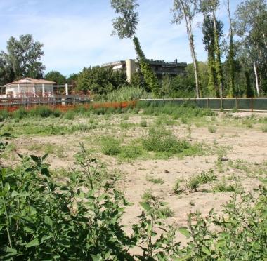 <b>CANTIERE.</b> Larea di Vittoria Apuana dove sorgeranno le sette ville  